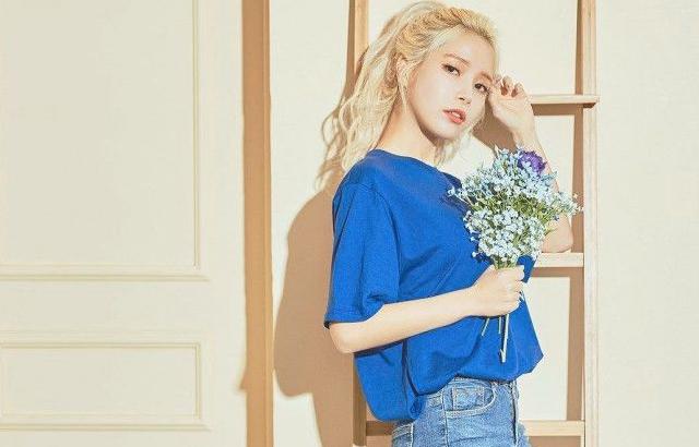 솔라