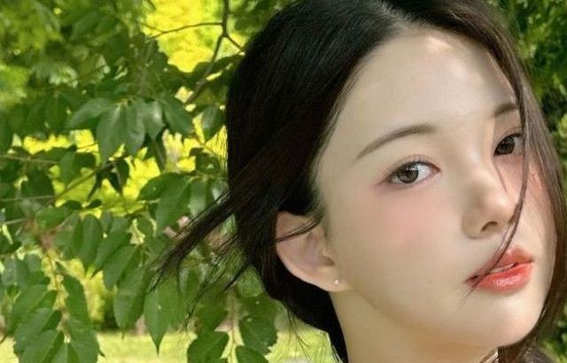 채수아