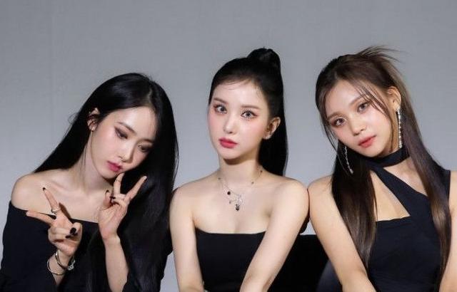 비비지