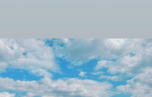 유인영
