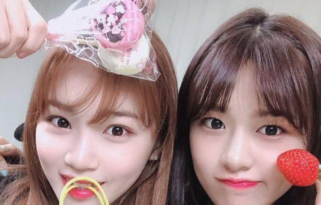 아이즈원 채원 유진