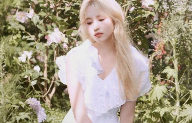 미나 모모 정연 포토티저