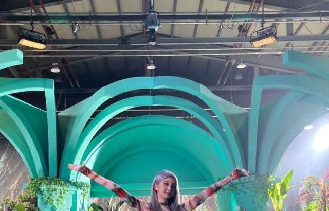 DREAMCATCHER DAMI