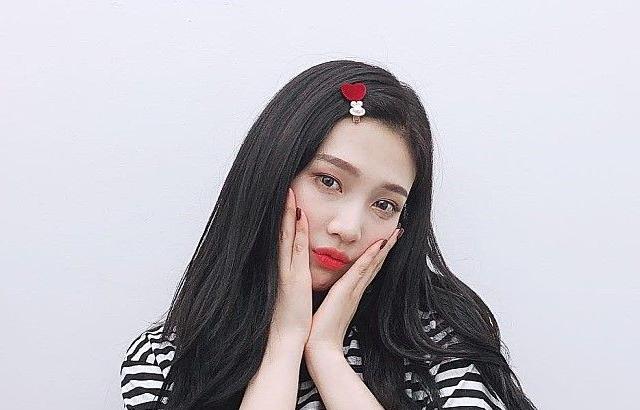 새로산 머리핀 자랑하는 둥둥이