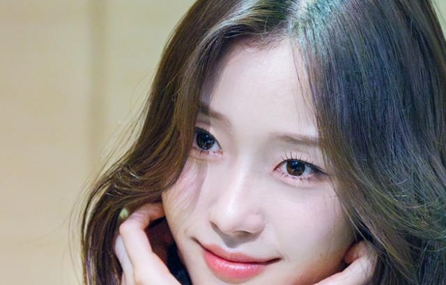 시그니처 채솔
