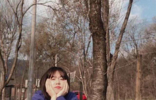 소혜 꽃받침