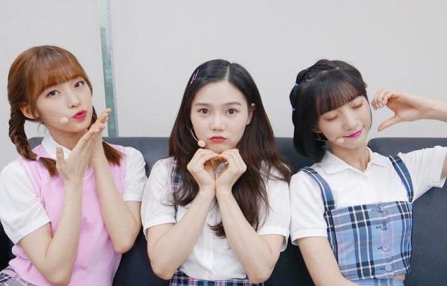 아린 효정 비니 (오마이걸 반하나)
