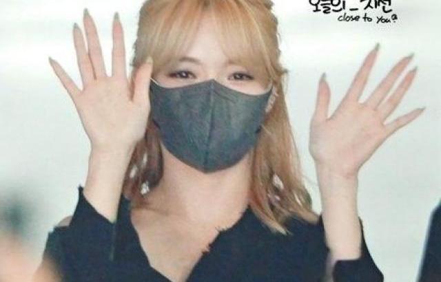 노지선
