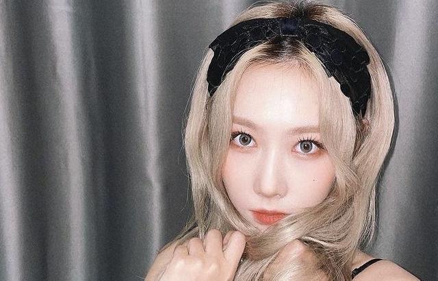DREAMCATCHER HANDONG