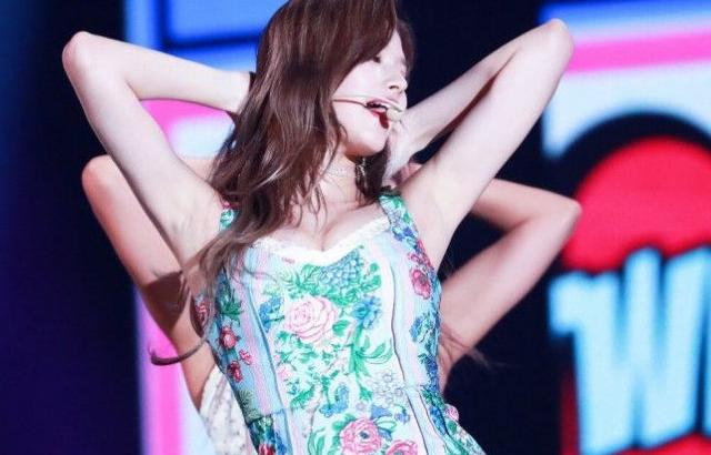 꽃무늬 사나