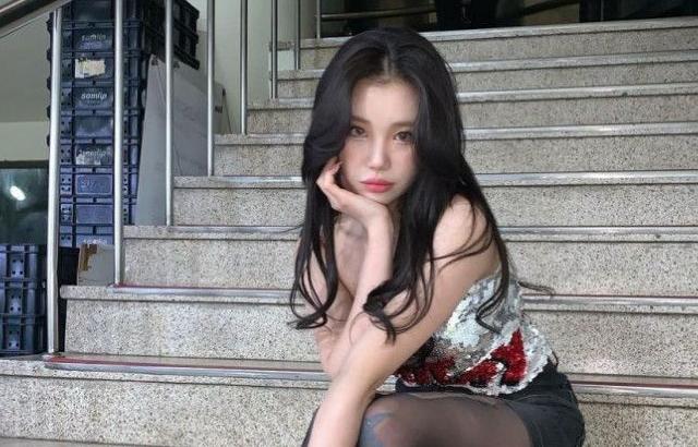 검스 주이 흰스 낸시