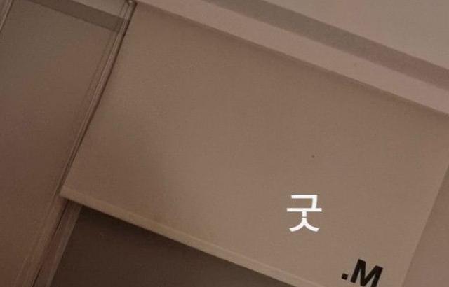 드림캐쳐 다미