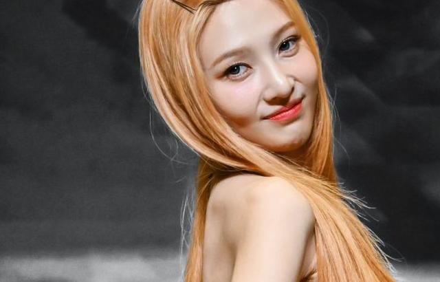 레드벨벳 조이