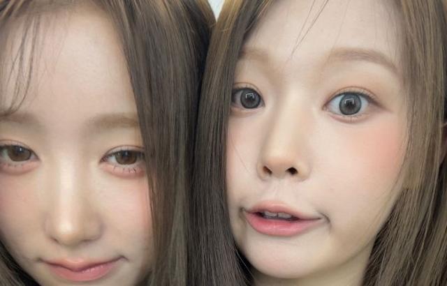 세이마이네임 메이 생일
