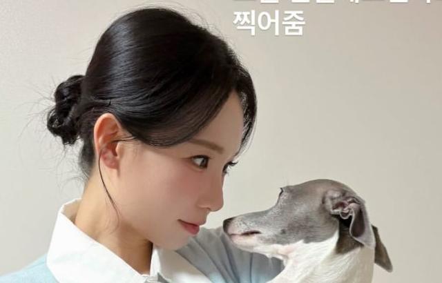 이정현 아나운서