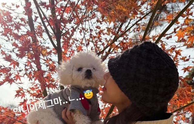 브브걸 은지 SNS