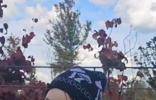 조은나래 아나운서