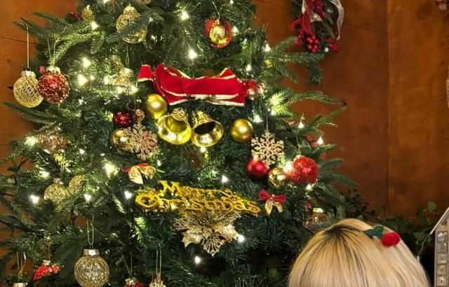 UNIS (유니스) 코토코