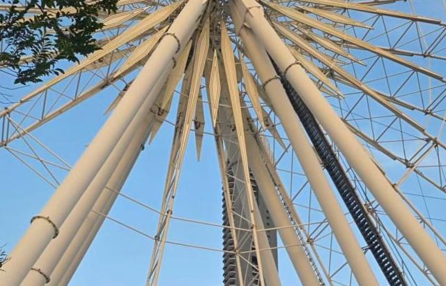 정유현 아나운서