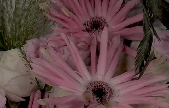 베이비몬스터 아사