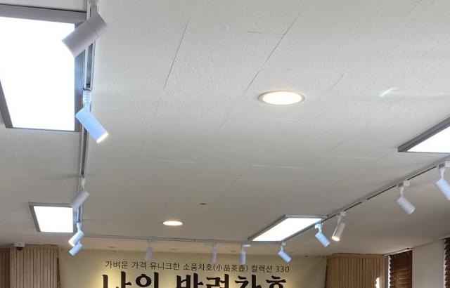 한승연 KARA 인별