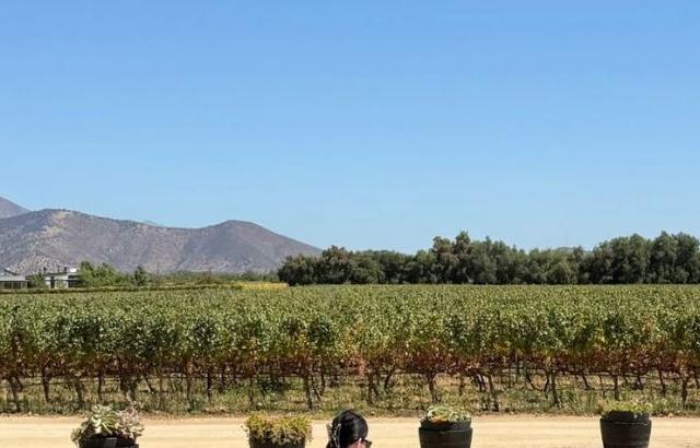 이정현 아나운서