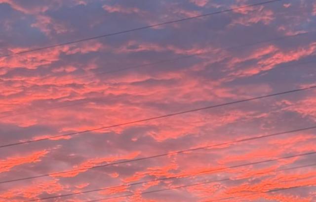 주시은 아나운서