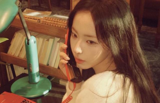 세이마이네임 슈이