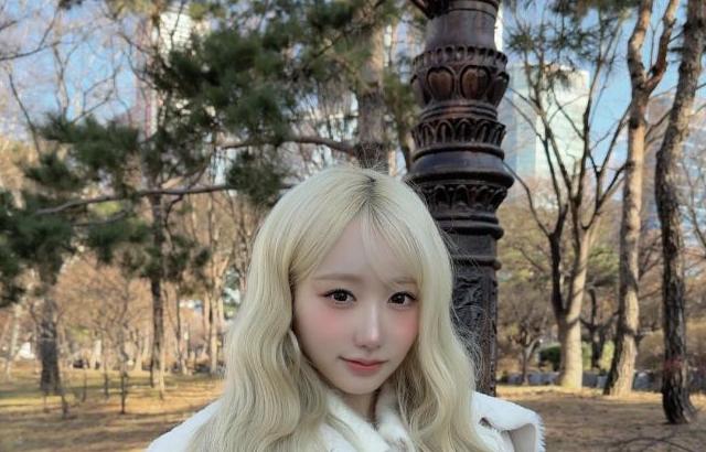 세이마이네임 메이