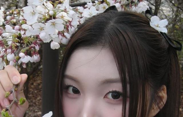 세이마이네임 승주