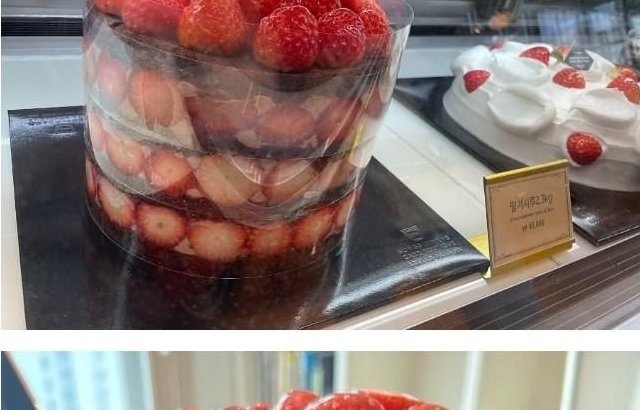 성심당 신상 케이크 떴다